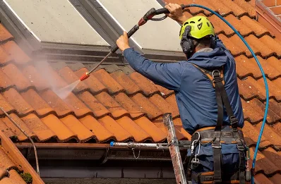 Démoussage et hydrofuge de toiture à la Vicogne